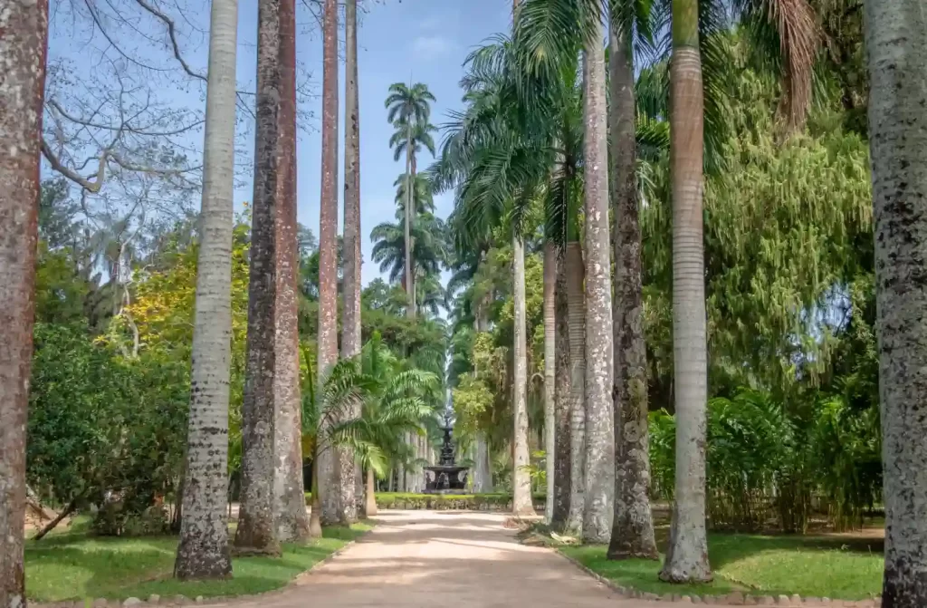 Em um dia de sol, corredor de árvores no Jardim Botânico com plantas e flores ao redor