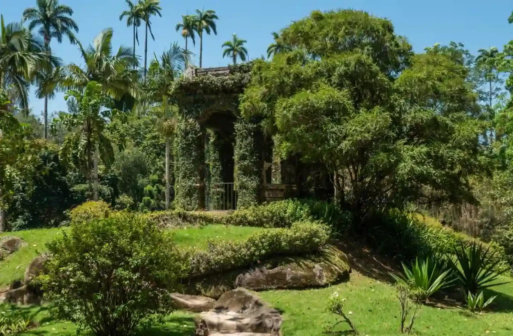 Em um dia de sol, árvores, flores e passagem do Jardim Botânico