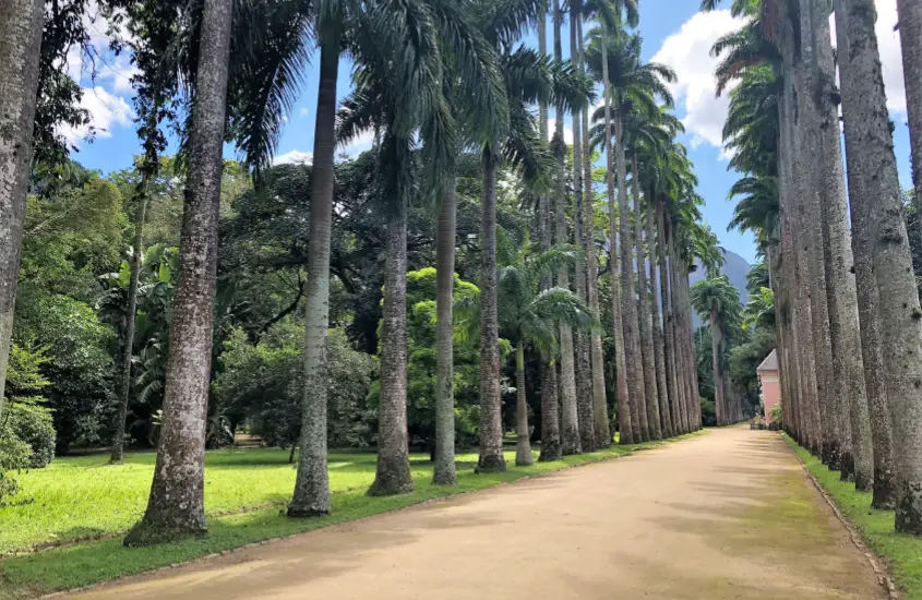 Em um dia ensolarado, corredor do Jardim Botânico do Rio de Janeiro com árvores e flores ao redor