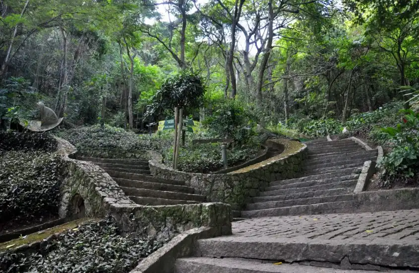 Em um dia de sol, escadaria do Parque Municipal da Catacumba com árvores e plantas ao redor