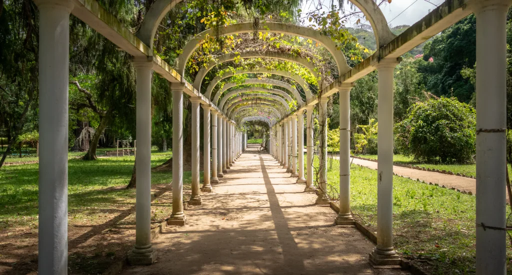 Em um dia de sol, corredor do jardim Botânico com árvores, plantas e flores ao redor